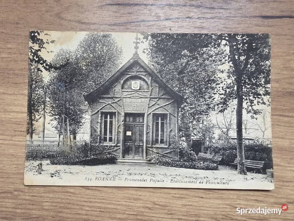 Stara pocztówka Francja Warszawa