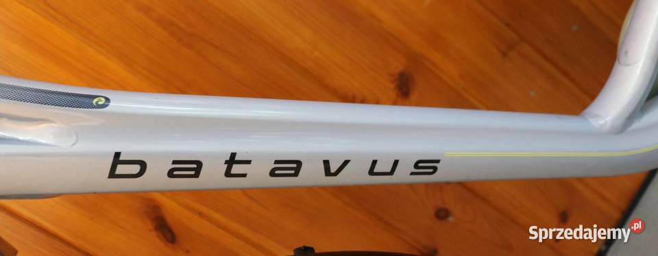 Rower damski Batavus Monaco D 53 RATY Sport i Wypoczynek