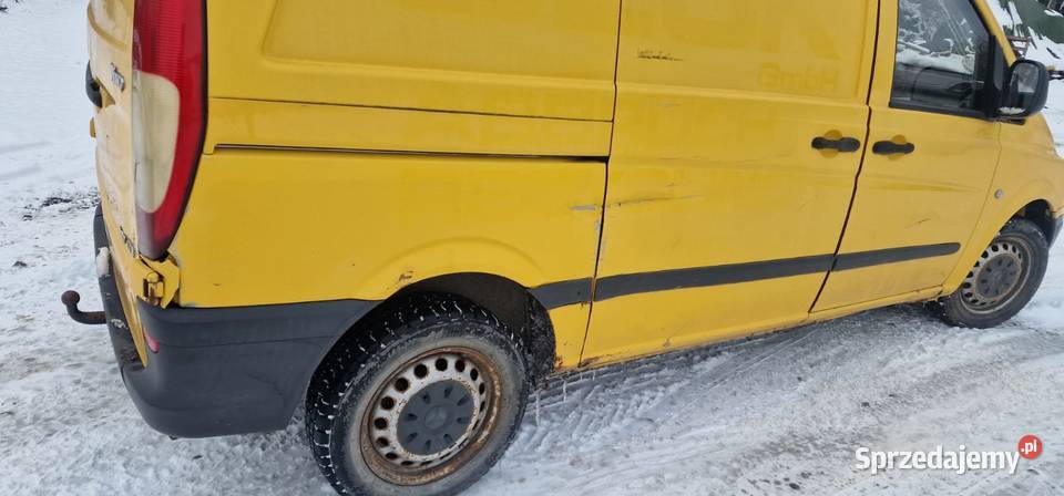 Spezedam Vito Do rejestracji Piękny okaz dolnośląskie Chojnów