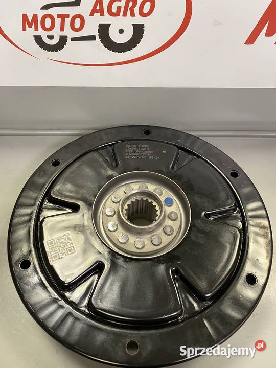 Tłumik drgań skrętnych AGCO E931100420080 Białystok