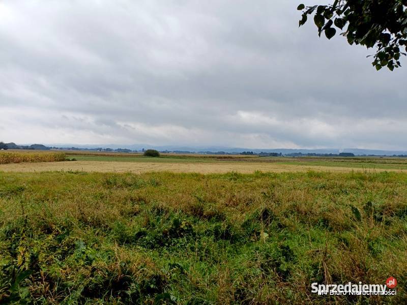 DOM W JASZCZWI Z DUŻĄ DZIAŁKĄ 53 AR 200m2 sprzedam