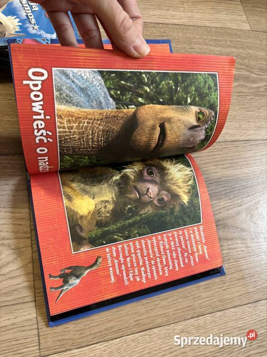 Kolekcja filmów książek bajek dzieci Nowe DVD Warszawa