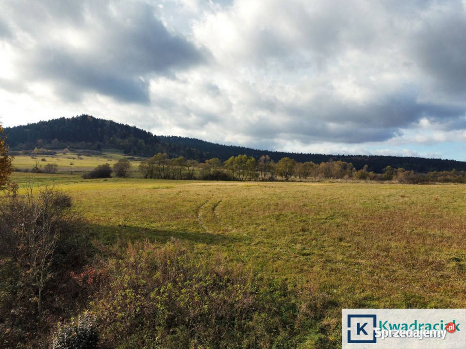 sprzedaży gruntu Jaśliska 3092m2 sprzedam