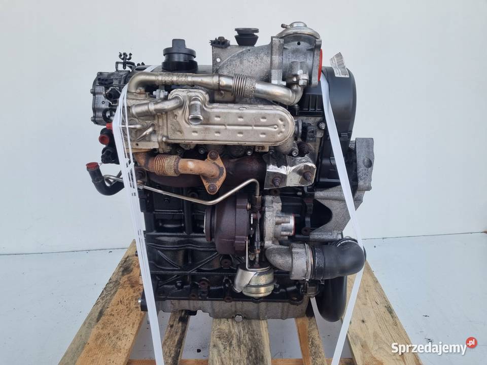 SILNIK KOMPLET Audi A3 II 8P 19 TDI 105 ładnie osobowe Janów