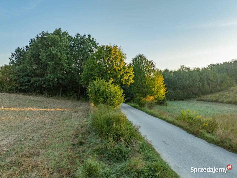 2 ha pozwolenie na 3 domy gm Skała Barbarka sprzedam