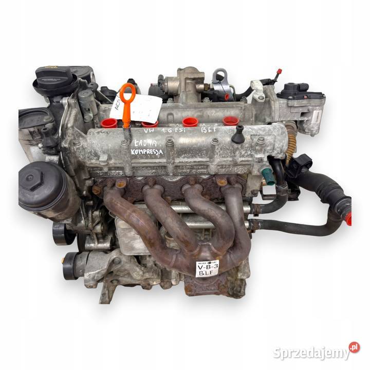 SILNIK BLF VW Touran Golf V Eos Jetta III 16 FSI sprzedam