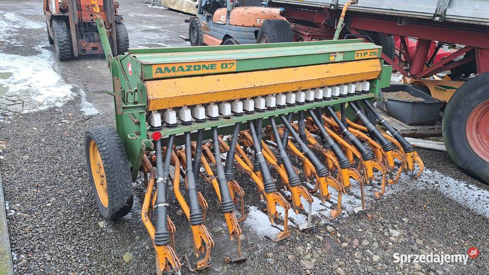 siewnik amazone wielkopolskie Miejska Górka