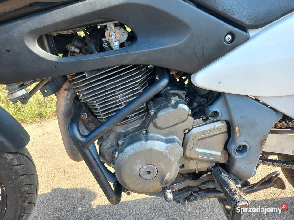 Suzuki XF 650 Freewind motocyklistki Rok produkcji 1997 Suzuki małopolskie Łysokanie