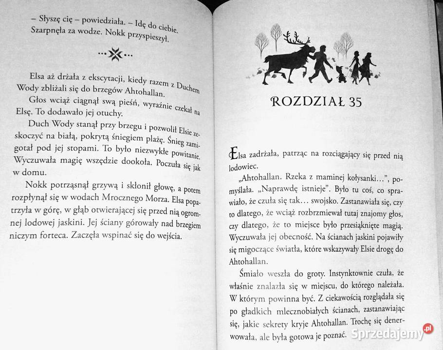 Karina Lodu 2 Disney David Blaze Pozostałe lubelskie