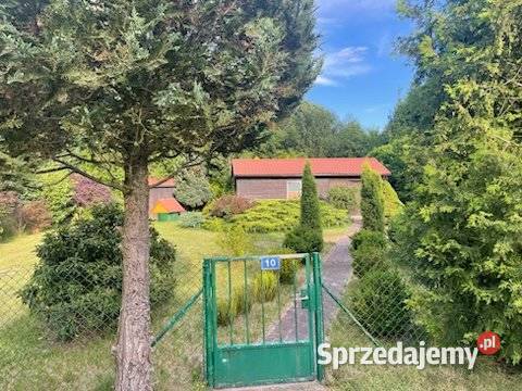 Sprzedam działkę ROD 124zł/m2 mazowieckie