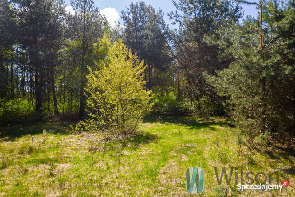 Działka 13000m2 Załuski Sprzedaż