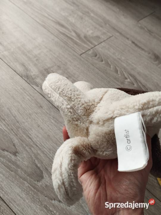 pies pluszak maskotka kolejny wielkopolskie Poznań