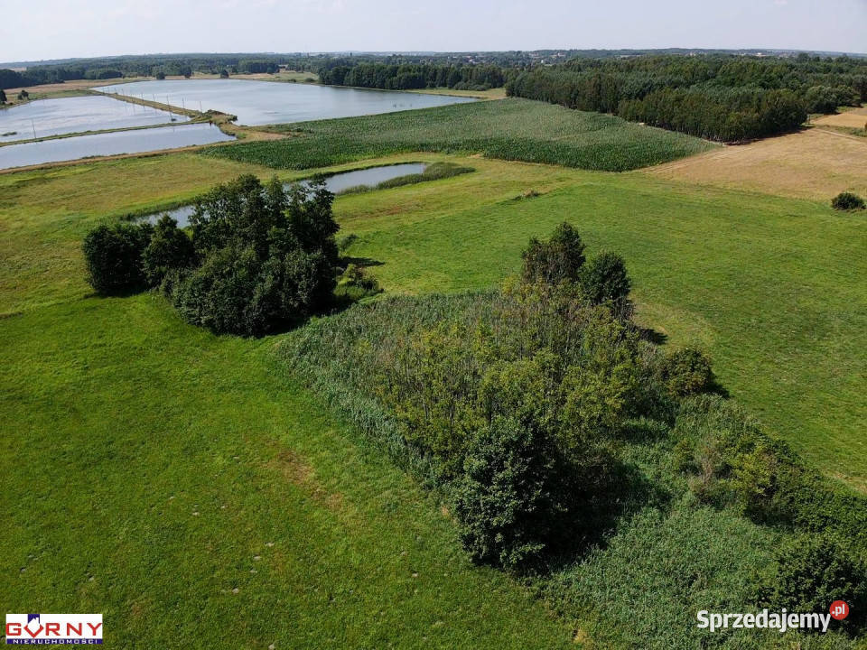 sprzedaży gruntu 32000m Mierzyn
