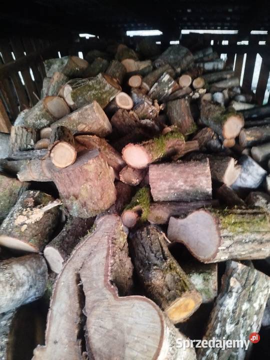 Sprzedam dżewo dęba sosnę Manasterz