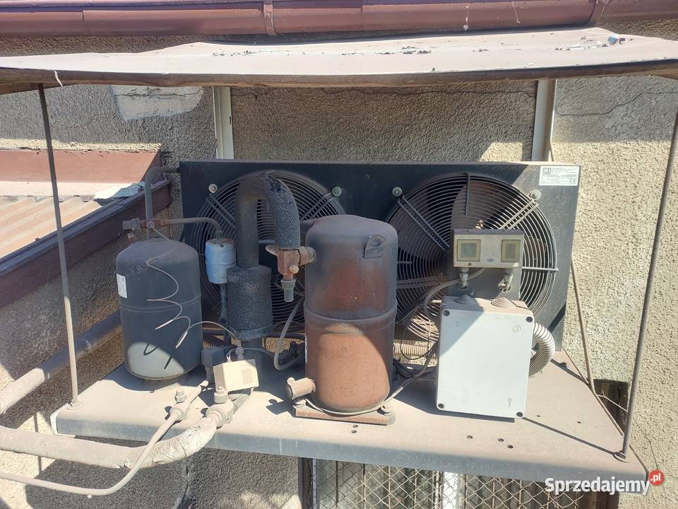 Chłodnia do Owoców i Warzyw Pozostałe Lubasz