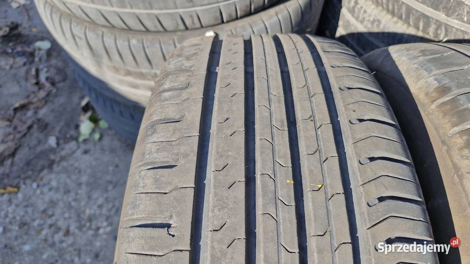 21560R16 95H Continental ContiEcoContact 5 Myszadła