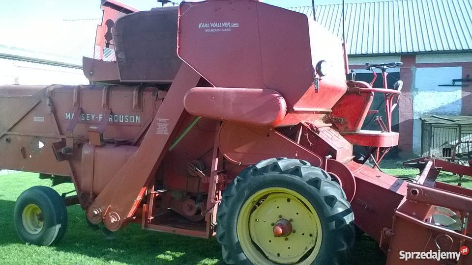 sprzedam kombajn massey ferguson 87 łódzkie Paradyż sprzedam