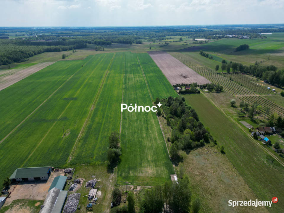 4 działki z warunkami zabudowy Witoroż