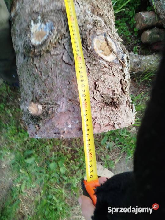 Bale Świerkowe mazowieckie Góra Kalwaria sprzedam