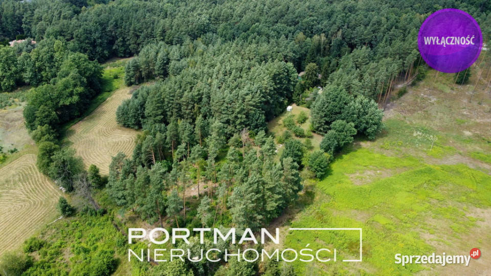 WIĄZOWNA KOŚCIELNA duża inwestycyjna działka Grunty i działki Wiązowna Kościelna