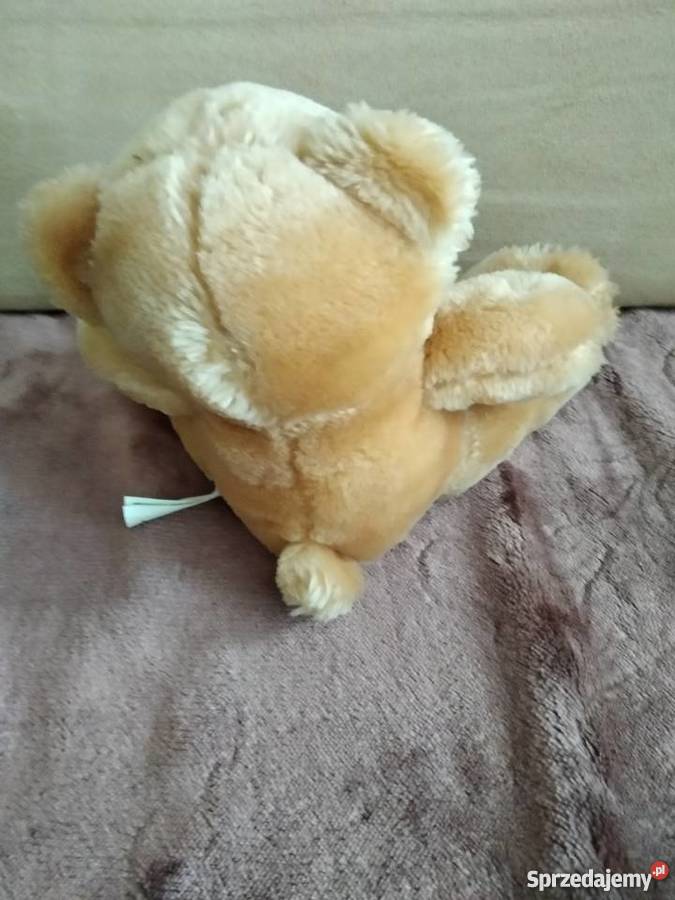 miś pluszak maskotka Poznań