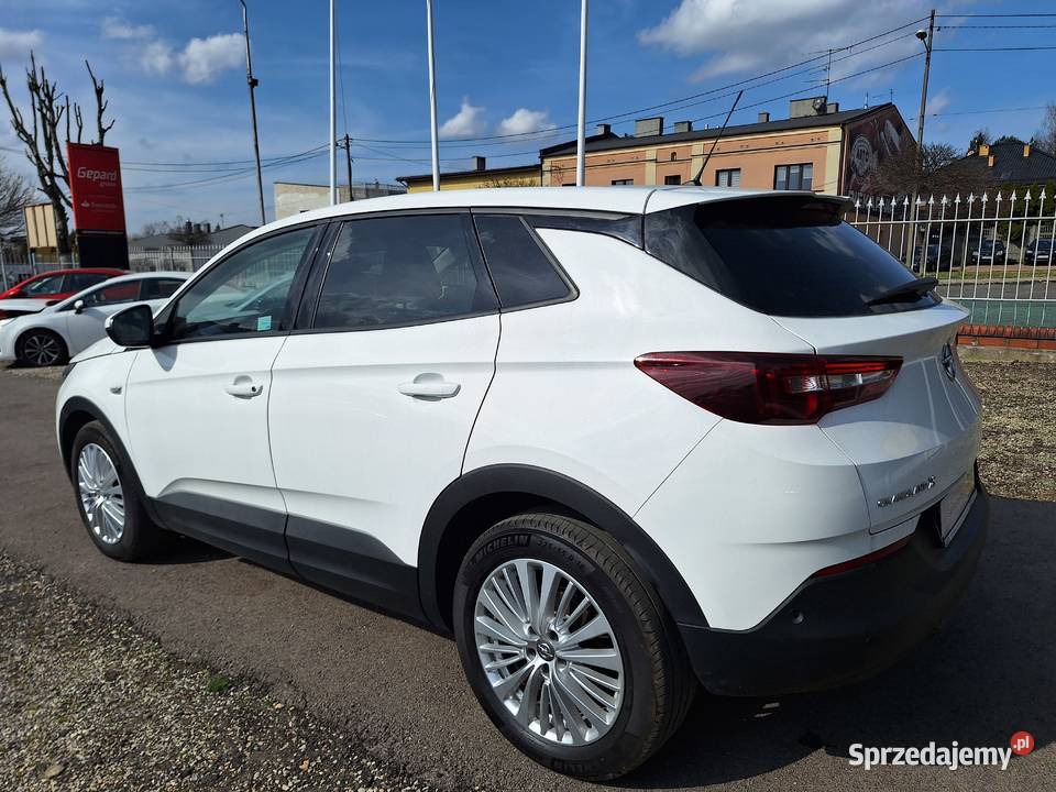 Opel Grandland X 2019 benzyna Częstochowa