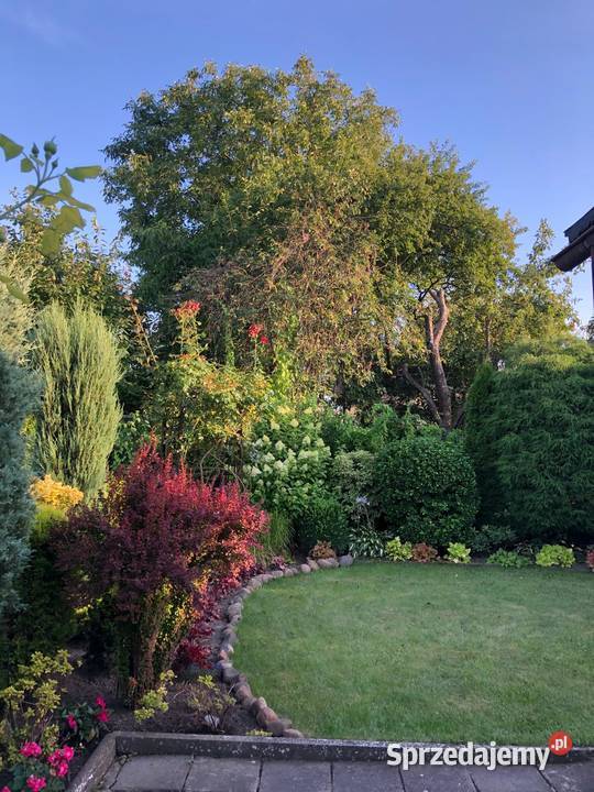 Ogrodek Dzialkowy ROD Jutrzenka śląskie Gliwice sprzedam