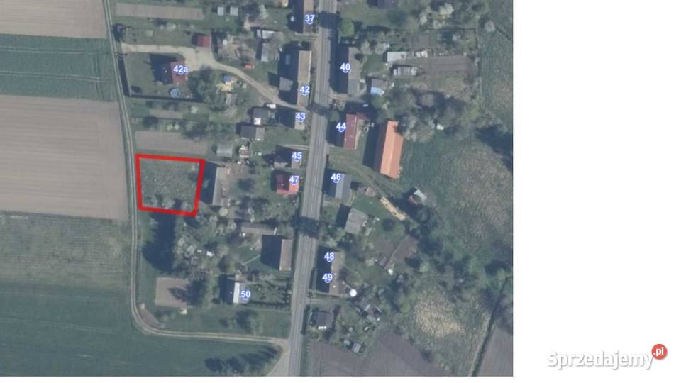 działka Przybiernówko Sprzedaż sprzedam