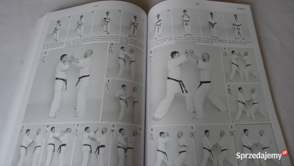 FitkinKyokushin Kata Karate 31 form Oyama Cook mazowieckie Radom