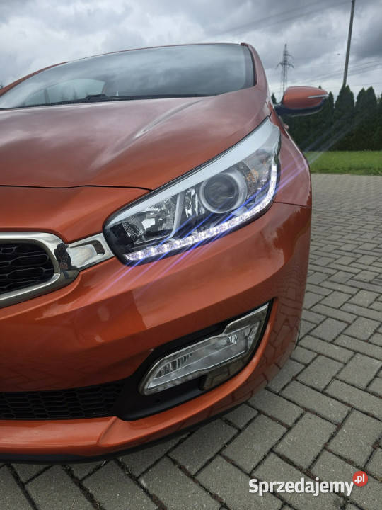 Kia Pro Ceed 16Benz ProCeedNaviLedyKamera 125KM Kia