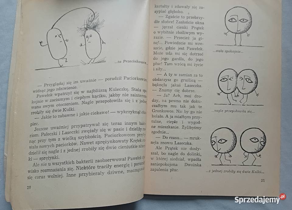 Hanna Zdzitowiecka Wśród niewidzialnych wrogów i Antykwariat Koźminek sprzedam