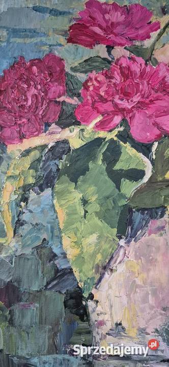 Piwonie wielkopolskie Gniezno