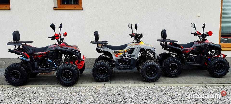 Quad 125cc Berreta Bulldog Gwarancja Nowy ATV świętokrzyskie Bieliny