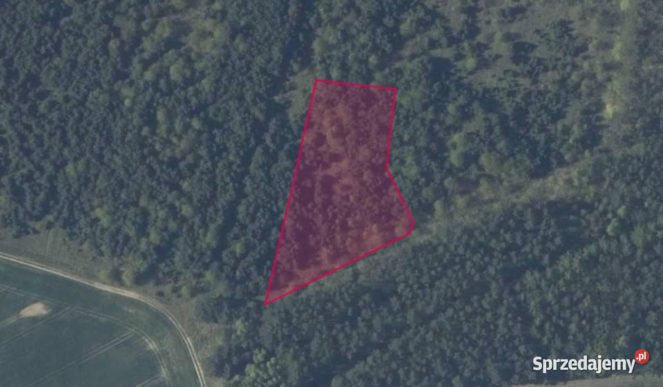 Działka 13427 w Kobylance 4536m2