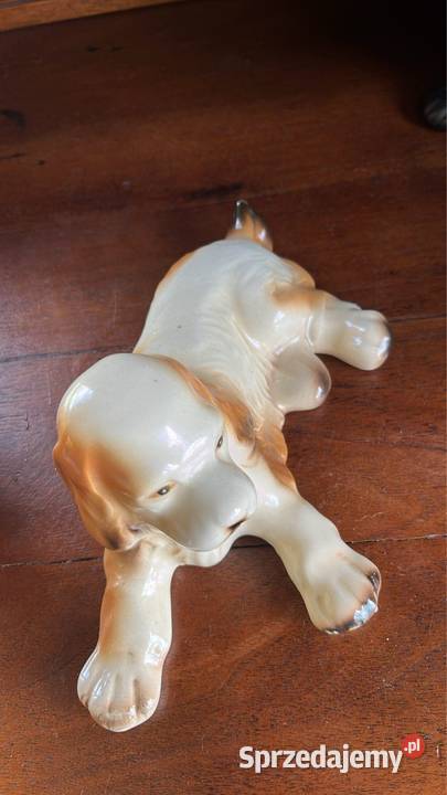 Basset Beagle Porcelanowa Figurka Bez sygnatury Porcelana i szkło sprzedam