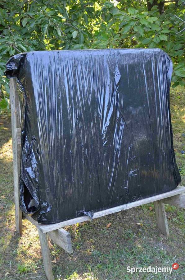 Łuki Łukbis Adam Bisok męski i młodzieżowy wielkopolskie Środa Wielkopolska