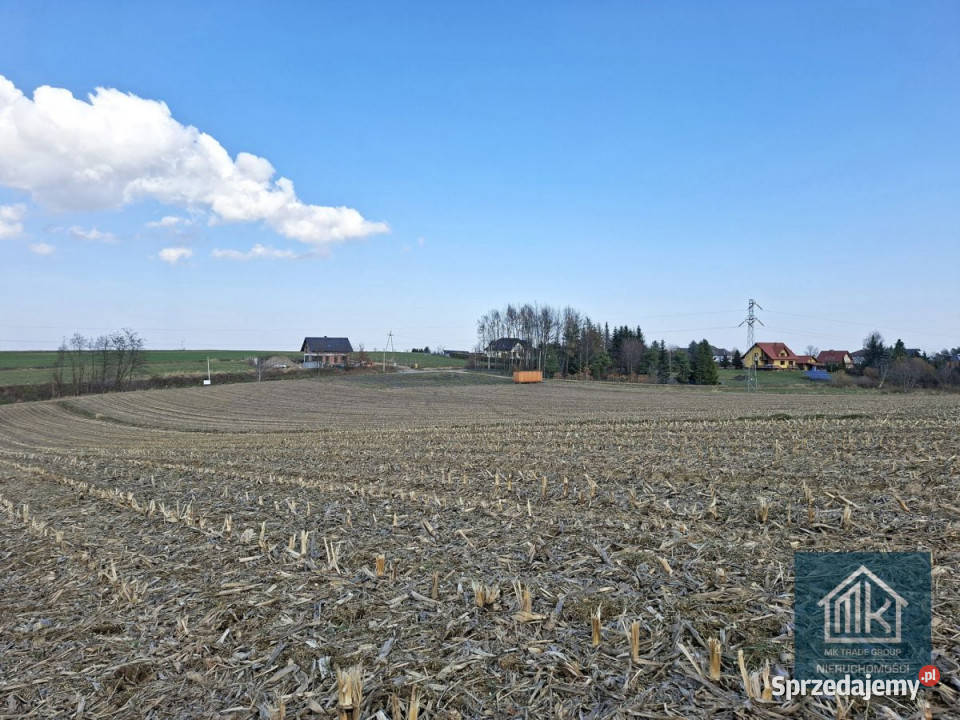 Działka 8100 metrów Bodzanów sprzedam