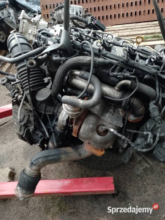 HYUNDAIKIA20 CRDISILNIK dawca czesci2011 Jastrzębia Góra sprzedam
