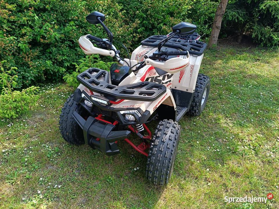 Quad młodzieżowy Asix Fourcraft 125 4t ideał Motocykle, skutery, quady Rypin sprzedam