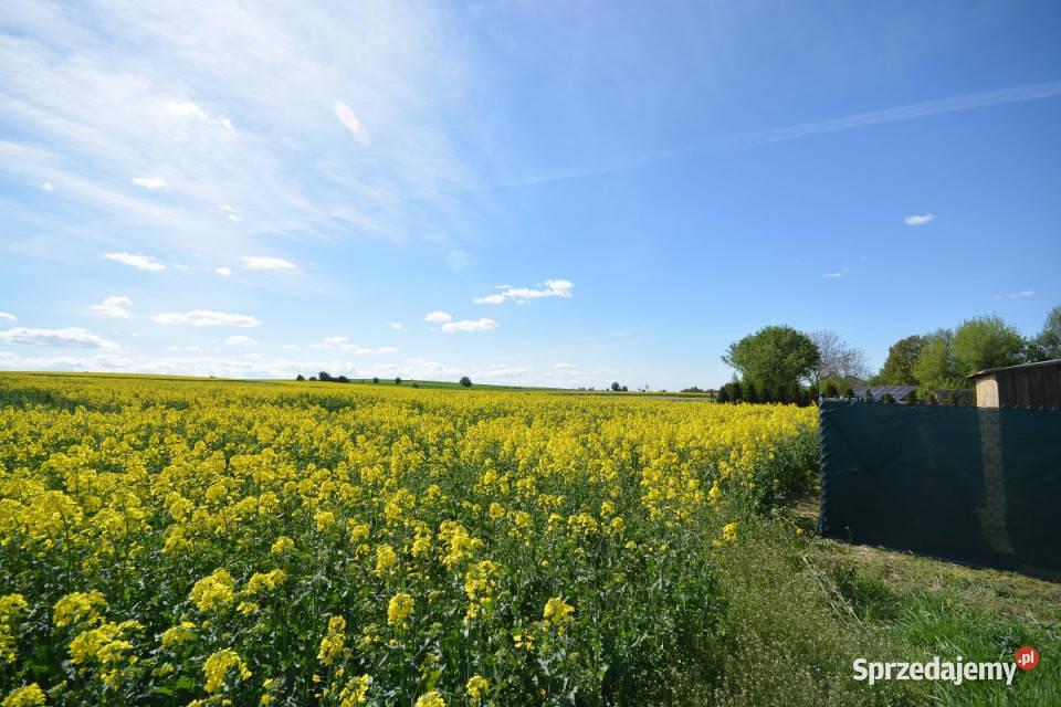 sprzedaży gruntu 2000m2 ChmielKolonia Sprzedaż Chmiel-Kolonia
