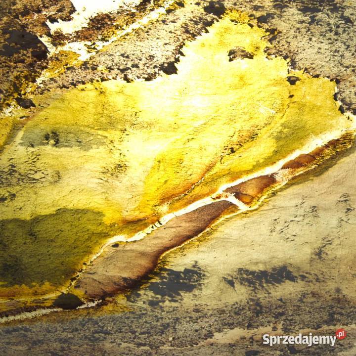 Fornir Kamienny Transparentny Łupek Autumn Kraków