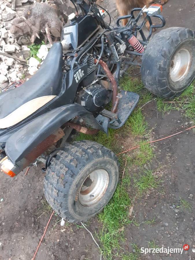 Kingway Alpinus napęd wał kardana 200 CC Sosnowiec