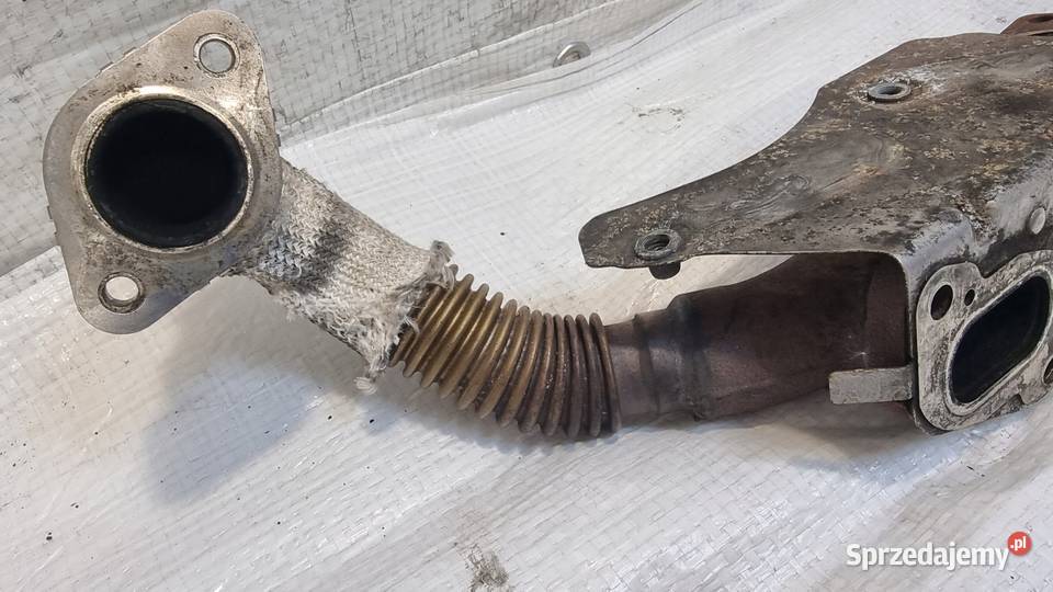 KOLEKTOR WYDECHOWY OPEL INSIGNIA B 16 CDTI osobowe kujawsko-pomorskie
