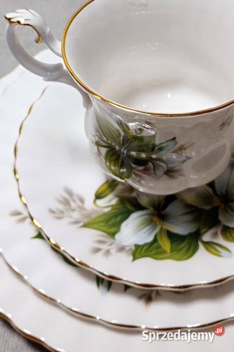 Royal Albert Trillium Filiżanka Zestaw deserowy Szczecin