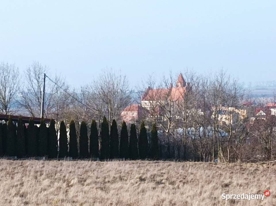 Działki budowlane w Radzyniu Chełmińskim z woda Radzyń Chełmiński