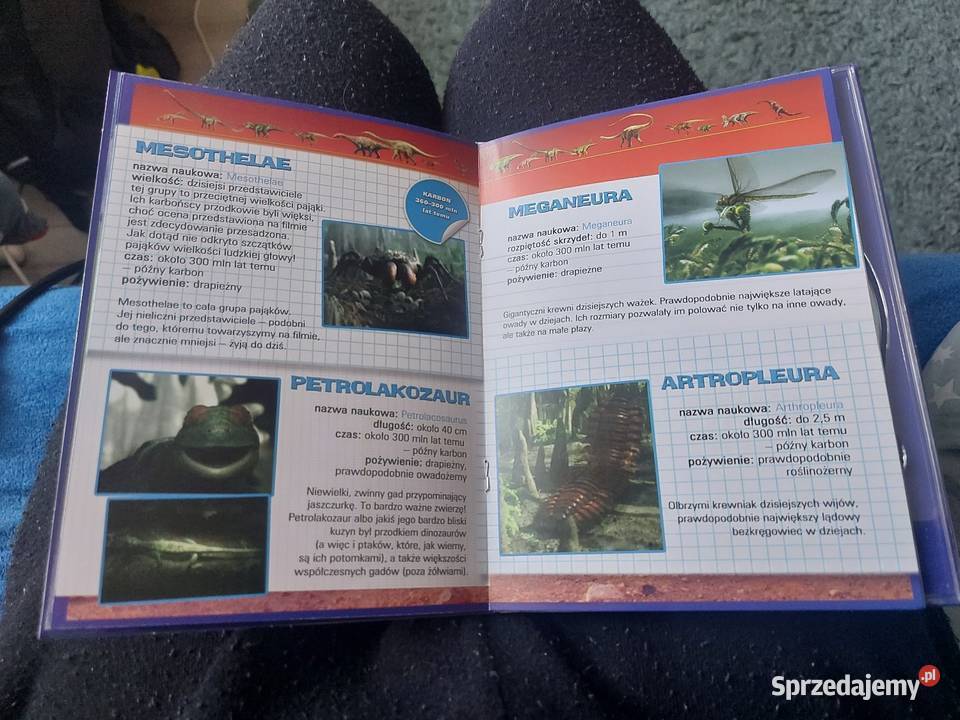 Kolekcja BBC Dinozaury i świat Prehistorii DVD Chorzów