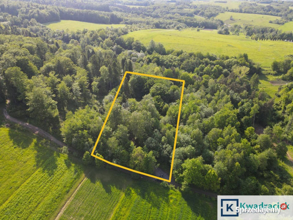 Działka 8242m2 Płowce