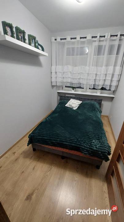Sprzedam mieszkanie piwnica Zduńska Wola