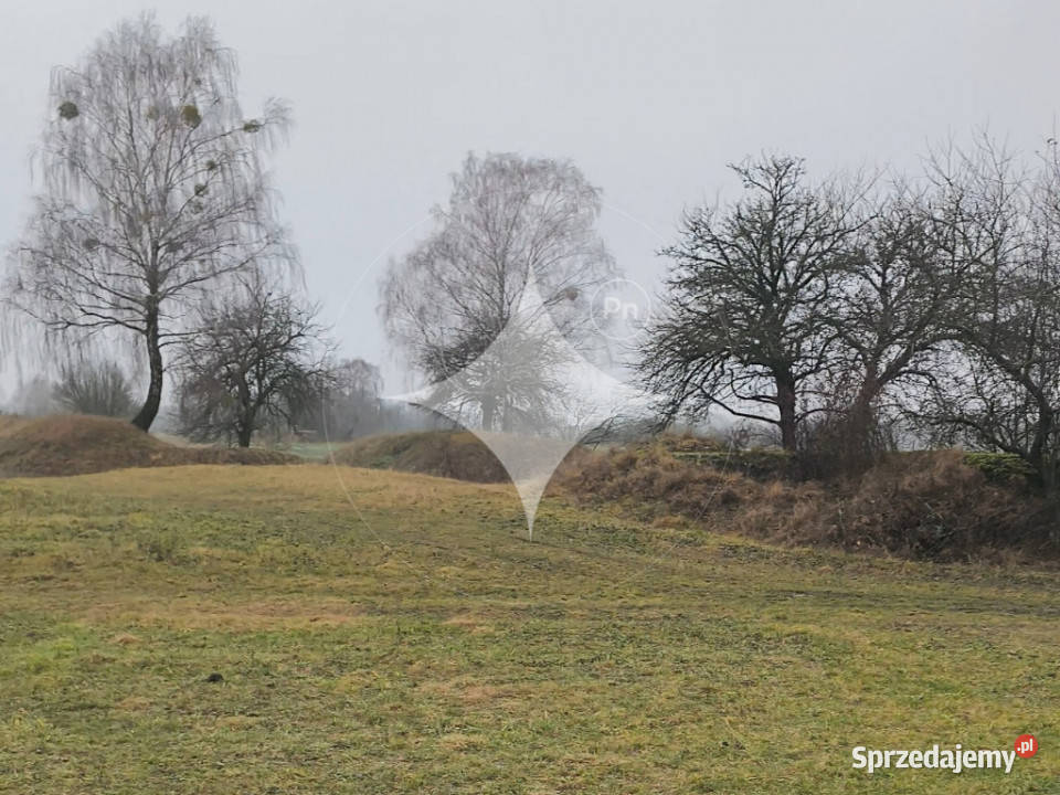 Ziemia rolna o pow 39 Ha w gminie Terespol 84m Murawiec