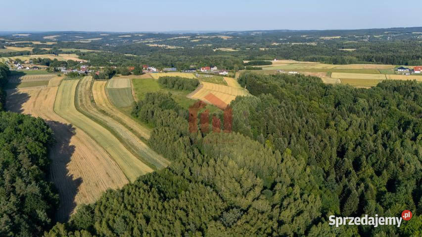 Działka Gnojnica 13000m2 podkarpackie